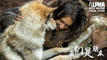 阿尔法：狼伴归途(普通话版),狼伴归途——穿越荒野的生死相依之旅