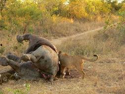 血腥杀戮3,狂潮再起,生死边缘的残酷对决 第3张 血腥杀戮3,狂潮再起,生死边缘的残酷对决 第3张