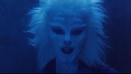 九命怨灵,探寻生死轮回的神秘传说 第3张 九命怨灵,探寻生死轮回的神秘传说 第3张