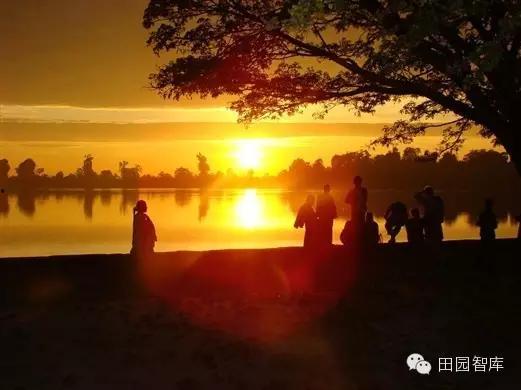 不再许你春朝,回忆与展望 第2张 不再许你春朝,回忆与展望 第2张