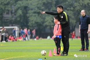 足球教练 第三季,传承与变革,揭秘足球世界的激情与智慧 第3张 足球教练 第三季,传承与变革,揭秘足球世界的激情与智慧 第3张