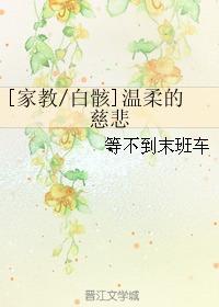 温柔的慈悲,探寻人性光辉的温暖篇章 第3张 温柔的慈悲,探寻人性光辉的温暖篇章 第3张