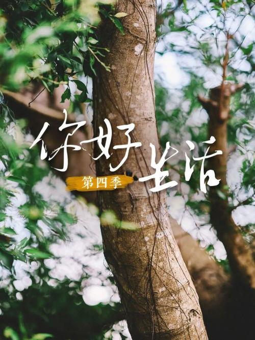 主厨的荣耀·中餐季 第2张 主厨的荣耀·中餐季 第2张