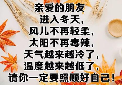 了不起的谢轻轻